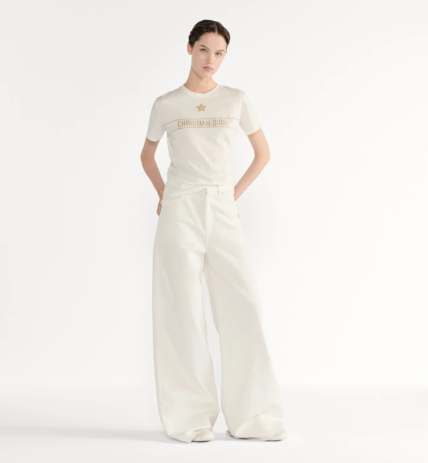 DIOR Embroidered T-Shirt Black and Gold-Tone Cotton Blend Jersey #336628