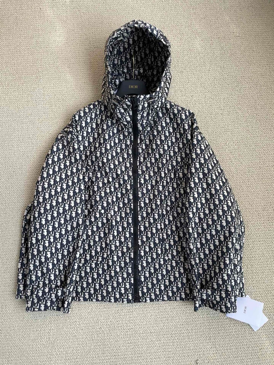 Dior Women's Fashionable Casual Winter Hooded Zipper Jacket Twill Print Long Sleeve Outerwear Jacket #78674