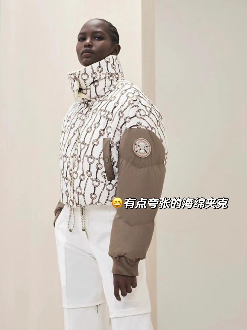 Hermes Women's Winter Fashion Casual Reversible Patterned Print Short Length High Neck Zipper White Goose Down Filled Short Jacket Down Jacket #78981