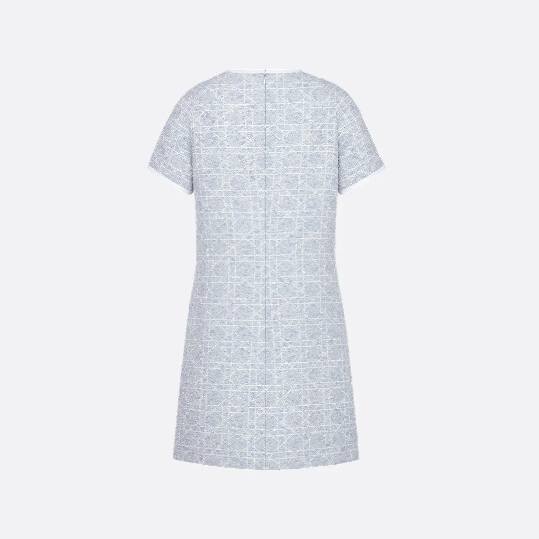 Dior ? Women's Spring/Summer Fashion Casual Round Neck Simple Elegant Rattan Check Short Sleeve Dress #79562
