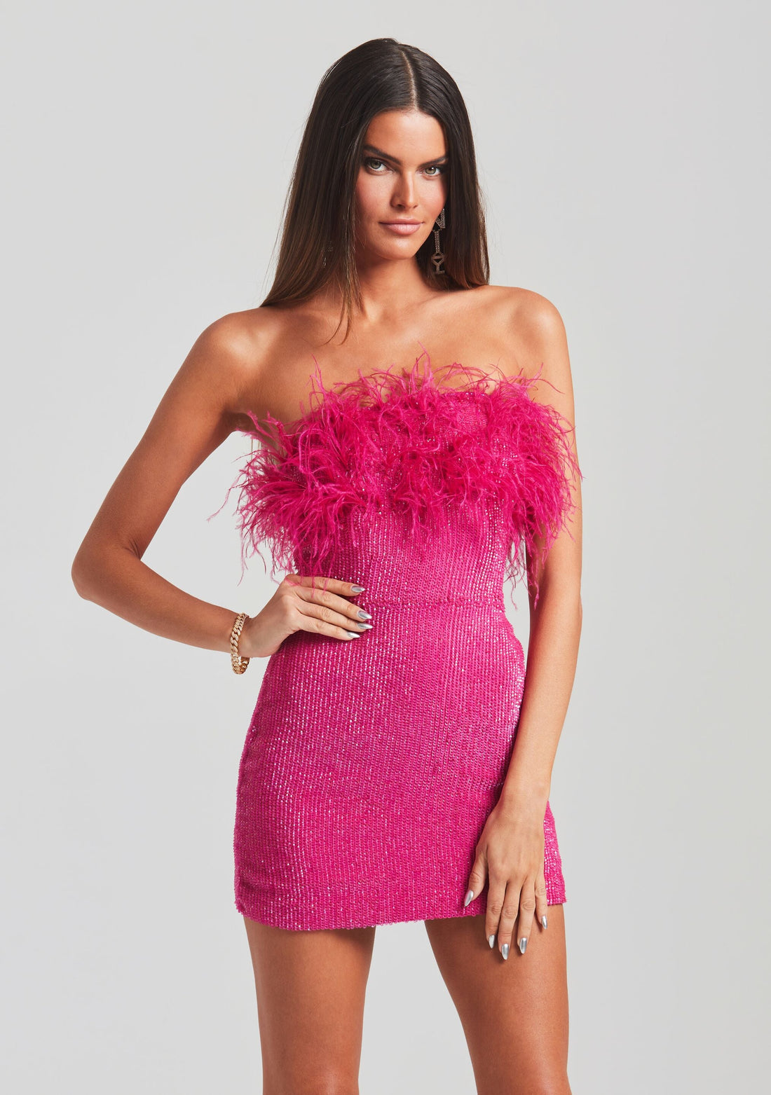 Torin Sequin Feather Dress